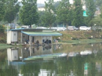 칠곡낚시터 유료낚시터 > 6월 12일 조황 : 낚시사랑