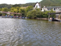 산들낚시터 유료낚시터 > 아산 산들낚시터의 6월14일에 올리는 주말 모습입니다. : 낚시사랑