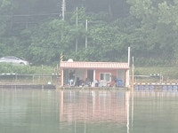 삼인낚시터 유료낚시터 > 가깝고 물좋고 경치 좋은곳~~!!-용인삼인낚시터- : 낚시사랑