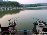 고초골낚시터 유료낚시터 > 무더운 더위 속 붕어조황소식 : 낚시사랑