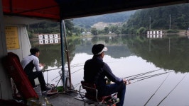 큰골낚시터 유료낚시터 > 큰골낚시터 조황정보 입니다~~~ : 낚시사랑