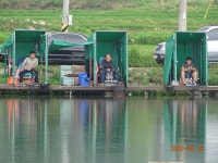 오빈낚시터 유료낚시터 > ****현재조황 아주 좋습니다**** : 낚시사랑