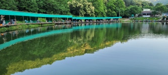 파주금곡낚시터 유료낚시터 > *대박행진* 파주 대물금곡낚시터 : 낚시사랑