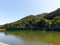 파주금곡낚시터 유료낚시터 > *대박행진* 파주 대물금곡낚시터 : 낚시사랑