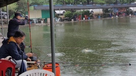 우금낚시공원 유료낚시터 > 붕어들의 반란 : 낚시사랑