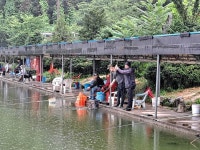 우금낚시공원 유료낚시터 > 붕어들의 반란 : 낚시사랑
