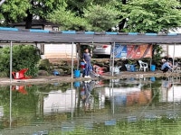우금낚시공원 유료낚시터 > 붕어들의 반란 : 낚시사랑