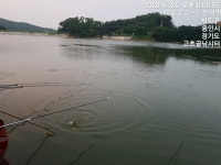 고초골낚시터 유료낚시터 > 고초골 수심이 낮아도~~어자원방류 : 낚시사랑