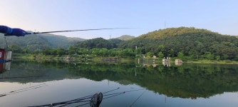 양평수곡낚시터 유료낚시터 > 피서 여름낚시 수곡낚시터 7월첫주 주중조황 및 오늘 붕어방류 완료 : 낚시사랑