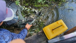 삼성지낚시터 유료터정보 > 편차가 심한 주말 : 낚시사랑