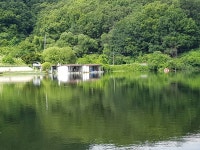 상곡낚시터 유료낚시터 > 토종붕어 전문 낚시터 ......... : 낚시사랑