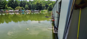 당골낚시터 유료낚시터 > ~~~조황정보~~~ : 낚시사랑