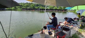 당골낚시터 유료낚시터 > ~~~조황정보~~~ : 낚시사랑