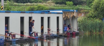 당골낚시터 유료낚시터 > ~~~조황정보~~~ : 낚시사랑