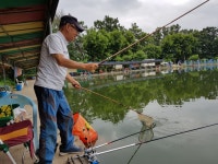 우금낚시공원 유료낚시터 > 주중조황 꾸준히 좋습니다. : 낚시사랑