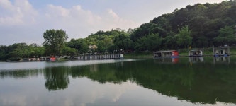 양평수곡낚시터 유료낚시터 > 여름 피서낚시 양평 수곡낚시터 7월7일 주초 조황 및 금일 붕어방류 완료 : 낚시사랑