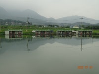 오빈낚시터 유료낚시터 > ****요즘조황 아주 좋습니다**** : 낚시사랑