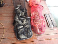 대석낚시터 유료낚시터 > 비가 오면 대석 아닙니까? : 낚시사랑