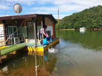 유료터정보 > 유료터점주조황 > 가깝고 물좋고 경치 좋은곳~~!!-용인삼인낚시터-