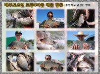 유료터정보 > 유료터점주조황 > *** 4짜 퍼레이드 ***