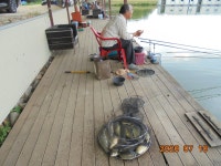 오빈낚시터 유료낚시터 > **** 조황 아주 좋습니다***** : 낚시사랑