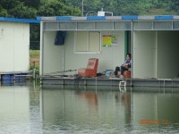 오빈낚시터 유료낚시터 > **** 조황 아주 좋습니다***** : 낚시사랑