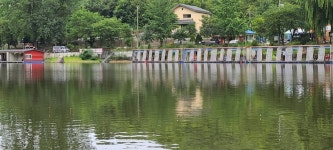 양평수곡낚시터 유료낚시터 > 붕어낚시 양평 수곡낚시터 좋은 조황이 화요일도 이어졌습니다 : 낚시사랑