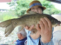 유료터정보 > 유료터점주조황 > 대량방류로 손님 맞이합니다.이천성호낚시터
