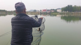 안성 거청낚시터 유료낚시터 > 배수없는 거청낚시터 7월 18 일 붕어조황 : 낚시사랑