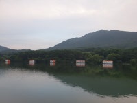 산들낚시터 유료낚시터 > 아산 산들낚시터의 7월22일 수상좌대 이동및 조황 모습입니다. : 낚시사랑