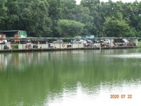 오빈낚시터 유료낚시터 > ****꾸준한 조황 보이고 있습니다**** : 낚시사랑