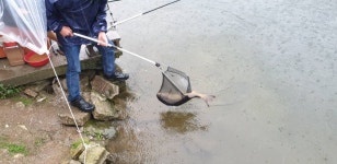 명암낚시터 유료낚시터 > [~7/24 아침] 제천명암낚시터 조황정보. 비오는 날씨는 조황..ㄷㄷㄷ : 낚시사랑