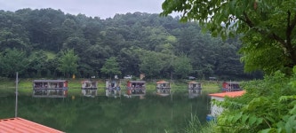 양평수곡낚시터 유료낚시터 > 양평 힐링 수곡낚시터 수,목요일 조황 및 붕어방류 : 낚시사랑