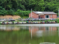 남전지기 유료낚시터 > 아까비들이 많았던 주말조황 및 방류소식 : 낚시사랑