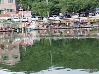 동교낚시터 유료낚시터 > 포천동교낚시터입니다 : 낚시사랑