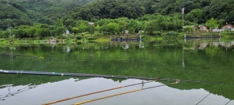 양평수곡낚시터 유료낚시터 > 양평 힐링 피서낚시터 수곡낚시터 수요일 낮 대박조황도 나와주었네요 금일 붕어방류 : 낚시사랑