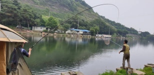 명암낚시터 유료낚시터 > [~7/31 아침] 제천명암낚시터 조황정보. 주말1톤방류알림 : 낚시사랑