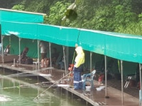 파주금곡낚시터 유료낚시터 > *대박행진* 파주 대물금곡낚시터 : 낚시사랑