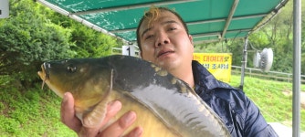 파주금곡낚시터 유료낚시터 > *대박행진* 파주 대물금곡낚시터 : 낚시사랑
