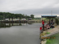 김포낚시터 유료낚시터 > 김포낚시터 오랫만에 100수 : 낚시사랑