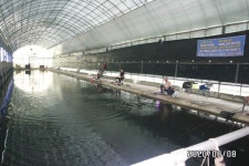 농촌지낚시터 유료낚시터 > 핫♨농촌지-주말조황 안내 : 낚시사랑