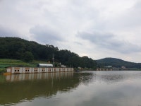 유료터정보 > 유료터점주조황 > 가깝고 물좋고 경치 좋은곳~~!!-용인삼인낚시터-