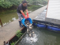 유료터정보 > 유료터점주조황 > 가깝고 물좋고 경치 좋은곳~~!!-용인삼인낚시터-