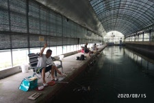 농촌지낚시터 유료낚시터 > 핫♨농촌지-조황 안내 : 낚시사랑