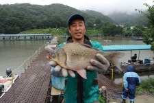 상덕낚시터 유료낚시터 > [상덕낚시터] 8월 2주차 이야기 - 용인 상덕 : 낚시사랑