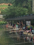 우금낚시공원 유료낚시터 > 우금 주중조황안내 : 낚시사랑