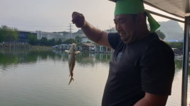 안성 거청낚시터 유료낚시터 > 밤낚시의 계절 거청지 8월 22 일 붕어조황 : 낚시사랑