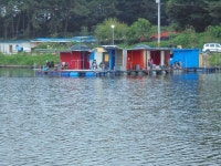 유료터정보 > 유료터점주조황 > 릴레이 어망 퍼레이드 이천 성호낚시터.