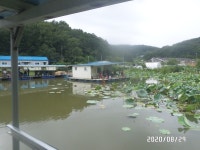 아산신수 유료낚시터 > 아산 신수지 8월 마지막주말 화보입니다. : 낚시사랑
