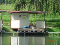 오빈낚시터 유료낚시터 > ****주중 조황정보 및 방류소식 전합니다**** : 낚시사랑